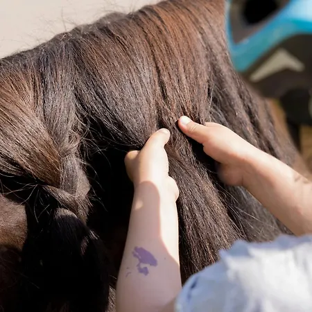 Ferienbauernhof Mau Prázdninový dům *