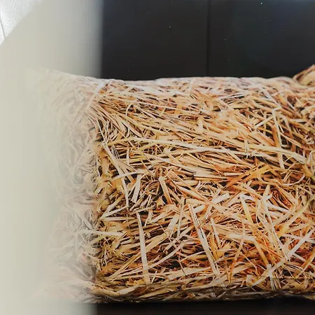 Ferienbauernhof Mau Prázdninový dům